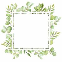 watercolor illustration frame with leaves and greenery of eucalyptus vector