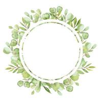 watercolor illustration frame with leaves and greenery of eucalyptus vector