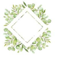 watercolor illustration frame with leaves and greenery of eucalyptus vector
