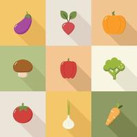 A set of simple vegetable icons with shadows. The concept of a healthy, nutritious diet. Veganism, vegetarianism. Vector