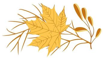 Vector isolated autumnal leaves and branches.