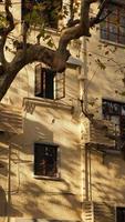 Shanghai City, China, 2021 - The beautiful city autumn view with the yellow leaves on the tree photo