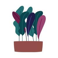 potted plants foliage decoration interior isolated icon vector