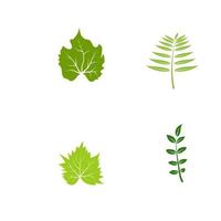 elemento de la naturaleza de la ecología de la hoja del árbol verde vector