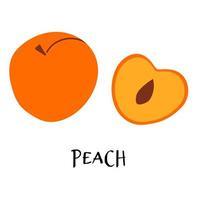 Vector illustration of ripe peach in hand drawn flat style.