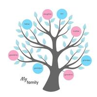 family tree with colored blue and pink circles and inscriptions with the name of relatives vector