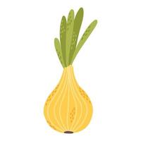 Onion in doodle style. Hand drawn onion illustration. Vector onion. Vector illustration