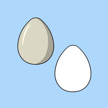 A set of images, a simple chicken egg, a vector in cartoon style on a colored background