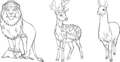 Set of wild animals. Lion, Lama, Deer. Black and white hand-drawn vector. For illustrations, coloring books and your design. vector