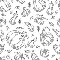 Seamless pattern with pumpkin. Hand drawn vector illustration. Farm market product, vegetable.