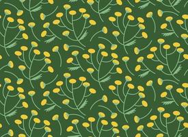 Seamless pattern with tansy. Beautiful nature texture in flat style. vector