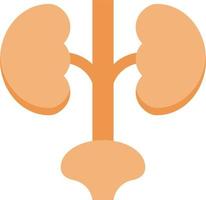 kidney vector illustration on a background.Premium quality symbols.vector icons for concept and graphic design.