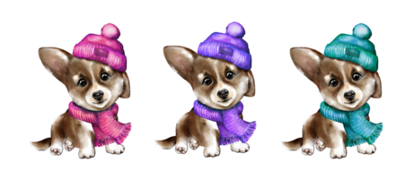 Cute watercolor corgi puppy in a crocheted hat and scarf. Made by hand. White background. Corgi dog. png