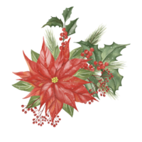 stor röd jul blomma, röd bär och många typer av vinter- grön löv ha täckt med en liten bit vit snö och snöflingor. hand dragen vattenfärg bild. png