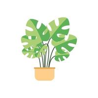 Illustration of Plants in pots on a white background Flat design vector illustration
