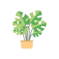 ilustración de plantas en macetas sobre un fondo blanco diseño plano ilustración vectorial vector