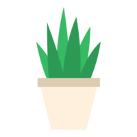 Potted house plants cartoon design png