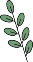 Einfachheit Blumenblattzeichnung png