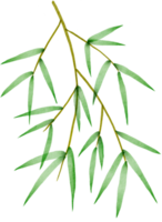 cutout bamboo leaf simplicity watercolor painting. png