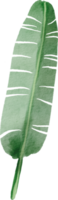 cutout banana leaf simplicity watercolor painting. png