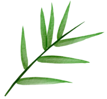 cutout bamboo leaf simplicity watercolor painting. png