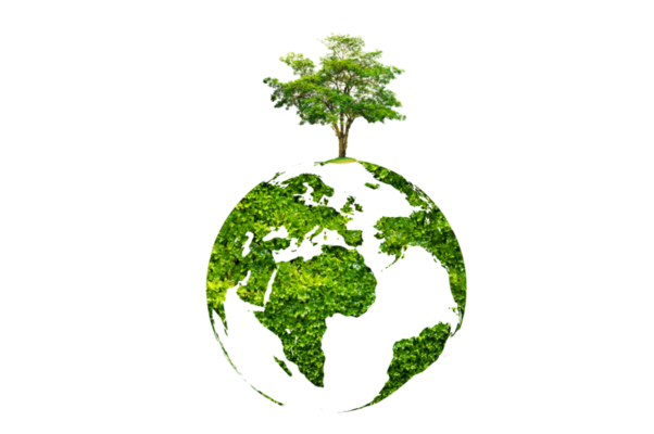 Deforestación PNG para descargar gratis