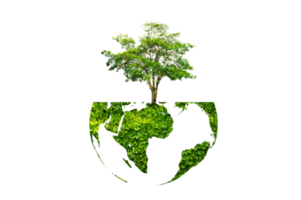 Baum im grünen Globus isolieren auf transparentem Hintergrund png-Datei png
