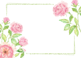 watercolor pink rose flower branch bouquet frame png