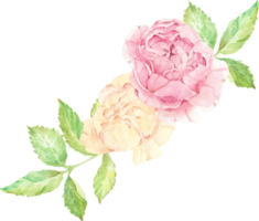 Aquarell schöner englischer Rosenblumen-Zweigblumenstrauß png