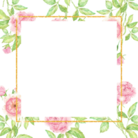 watercolor beautiful English rose flower bouquet garden with gold square banner background png