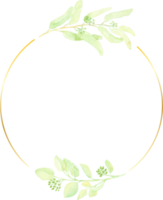 aquarell handgezeichnetes gesätes eukalyptusblatt mit goldenem minimalrahmen png