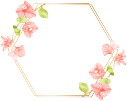 watercolor pink Bougainvillea flower bouquet with golden wreath frame with copy space png