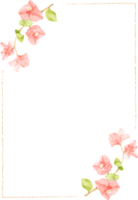 buganvília rosa aquarela com moldura de linha mínima para cartão de convite de casamento ou aniversário png