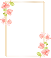 waterverf roze bougainvillea bloem boeket met gouden krans kader met kopiëren ruimte png