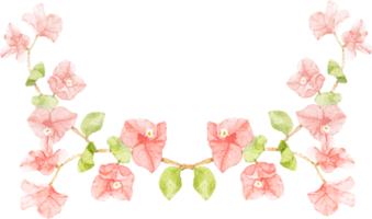 Aquarell rosa Bougainvillea-Strauß png