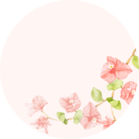 watercolor pink bougainvillea  round wreath frame sticker png