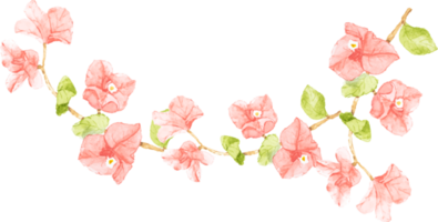 watercolor pink Bougainvillea bouquet wreath frame png