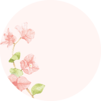 watercolor pink bougainvillea  round wreath frame sticker png