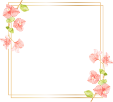 watercolor pink Bougainvillea flower bouquet with golden wreath frame with copy space png