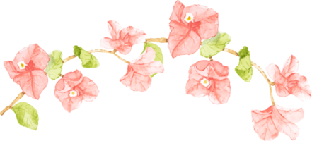 watercolor pink Bougainvillea bouquet wreath frame png