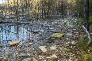 montones de residuos de construcción, residuos domésticos, espuma y botellas de plástico en la orilla de un lago forestal, problemas de contaminación ambiental foto