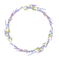 coroa de flores de lavanda em aquarela, círculo. design floral estilo provençal. flores de campo desenhadas à mão isoladas no fundo branco. desenho floral png