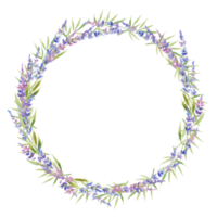 vattenfärg lavendel- krans av blommor, cirkel. blommig provensalsk stil design . hand dragen fält blommor isolerat på vit bakgrund. blommig design png