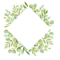 cadre d'illustration aquarelle avec feuilles et verdure d'eucalyptus png
