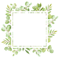 cadre d'illustration aquarelle avec feuilles et verdure d'eucalyptus png