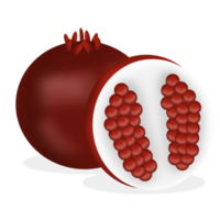 Pomegranater with shadow png