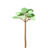 albero piatto universale scenario collezione impostato png