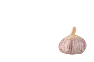 Garlic, one head of garlic on a transparent background. PNG