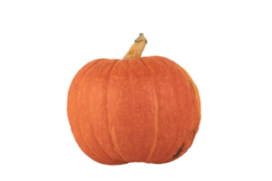 Round orange pumpkin. PNG, transparent background. png