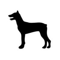 Doberman Pinscher. Black silhouette of a dog on a white background. Vector illustration